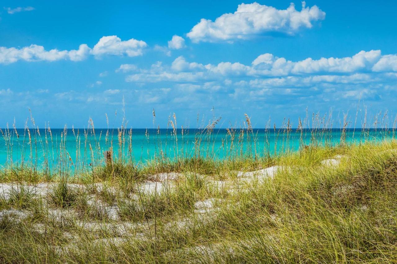 Calypso 2-807 West Daire Panama City Beach Dış mekan fotoğraf